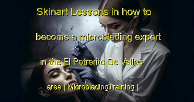 Skinart Lessons in how to become a microblading expert in the El Potrerito De Valles area | MicrobladingTraining | MicrobladingClasses | SkinartTraining-Mexico